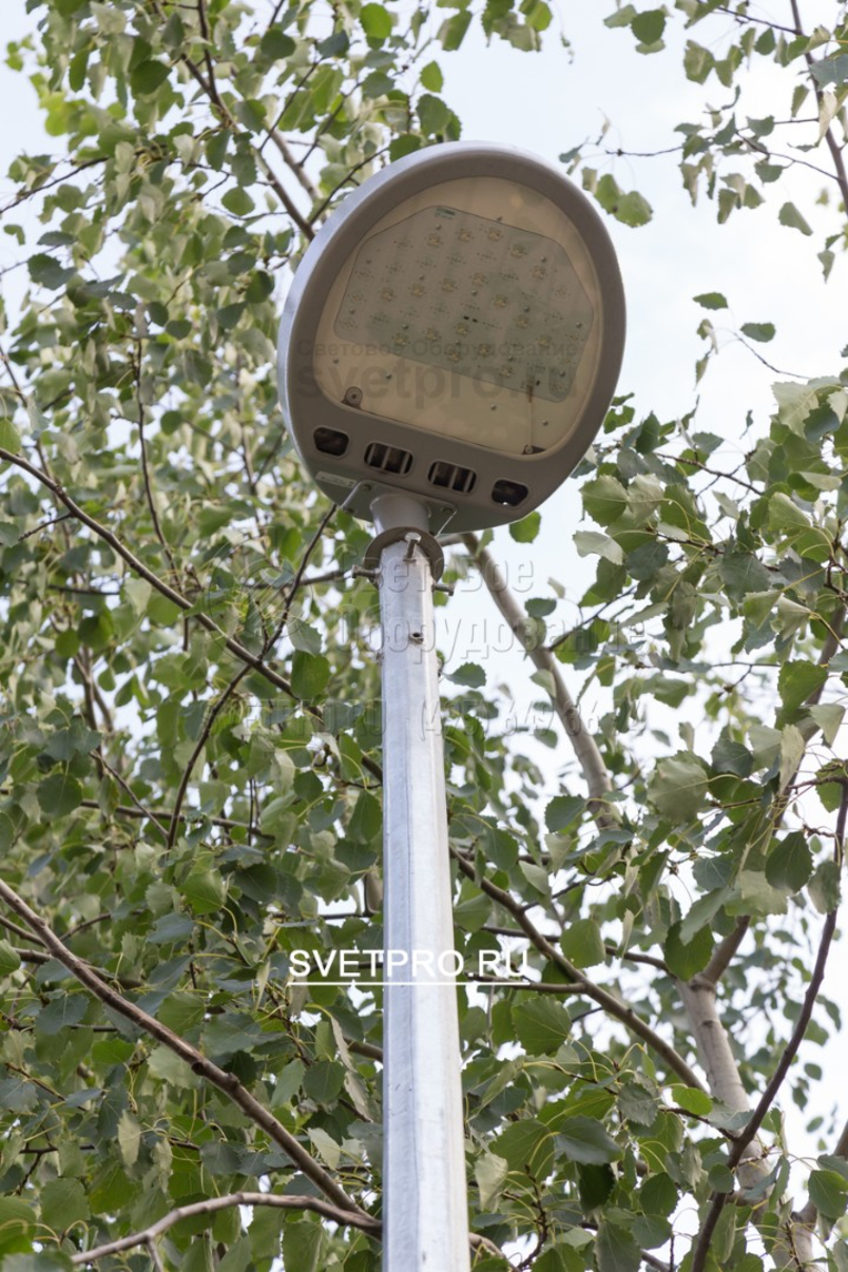 Опоры ОГК-3 могут быть применимы для подсветки парков аллей и пешеходных дорожек