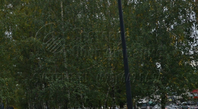 Освещение аллеи опорами НПК-6,0/7,25-02-ц. л., г. Нижний Новгород, проспект Гагарина.